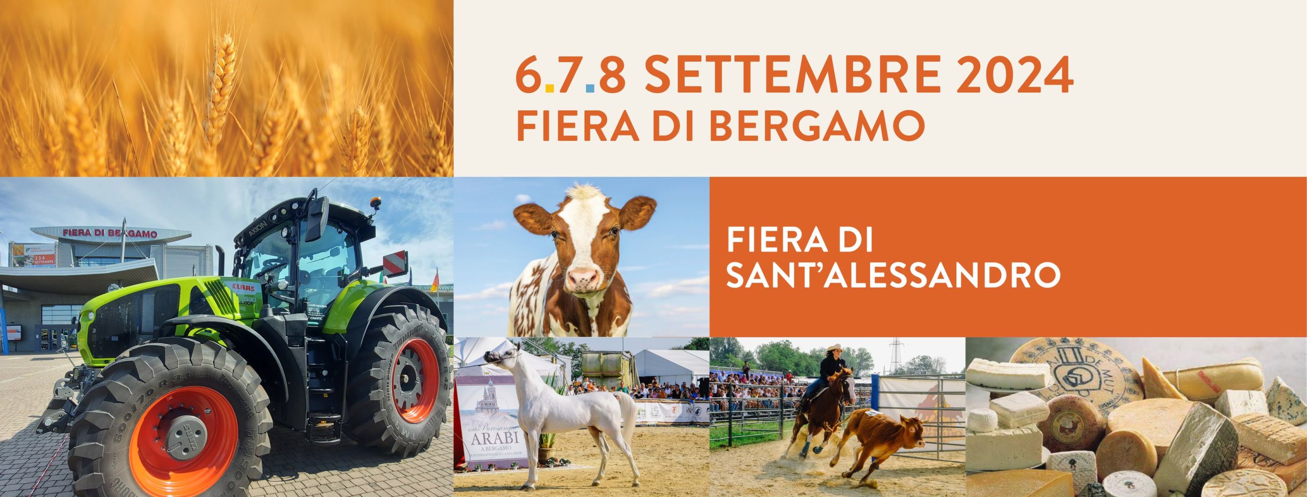 fiera-di-santalessandro